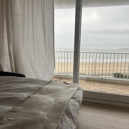 Le Baulnéaire, Vue Mer, à Pied, Parking Privé *