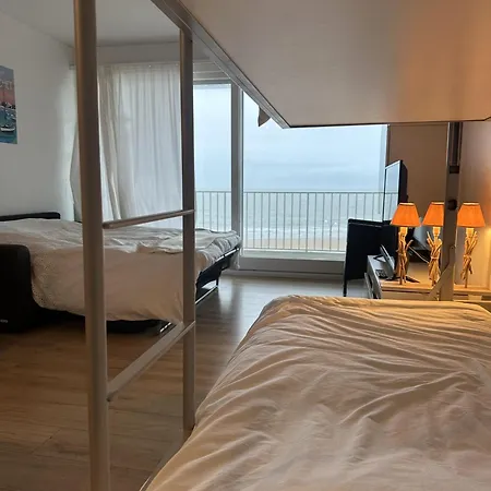 Le Baulnéaire, Vue Mer, à Pied, Parking Privé