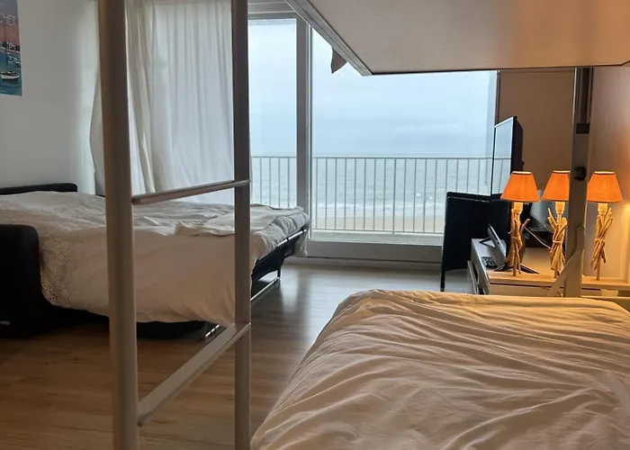 Le Baulnéaire, Vue Mer, à Pied, Parking Privé